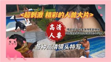 极致沉沦！人兽交合の禁忌快感 - Qinav色情视频大全
